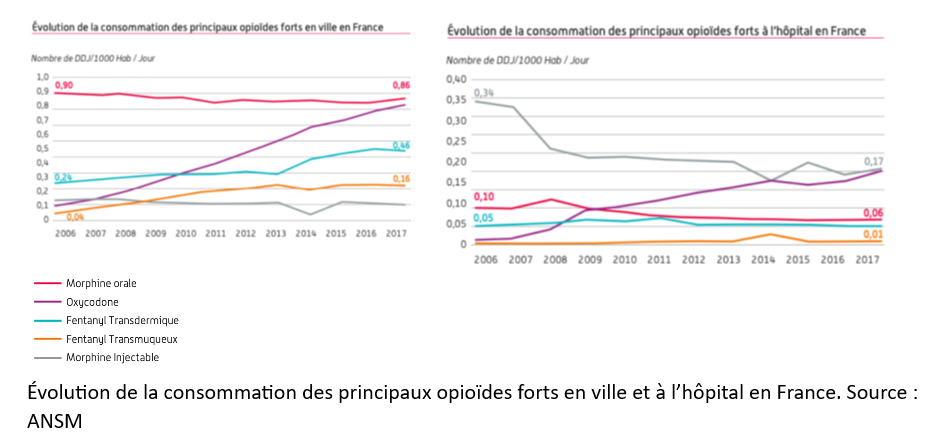 Évolution de la consommation des principaux opioïdes forts en ville et à l’hôpital en France. Source : ANSM 