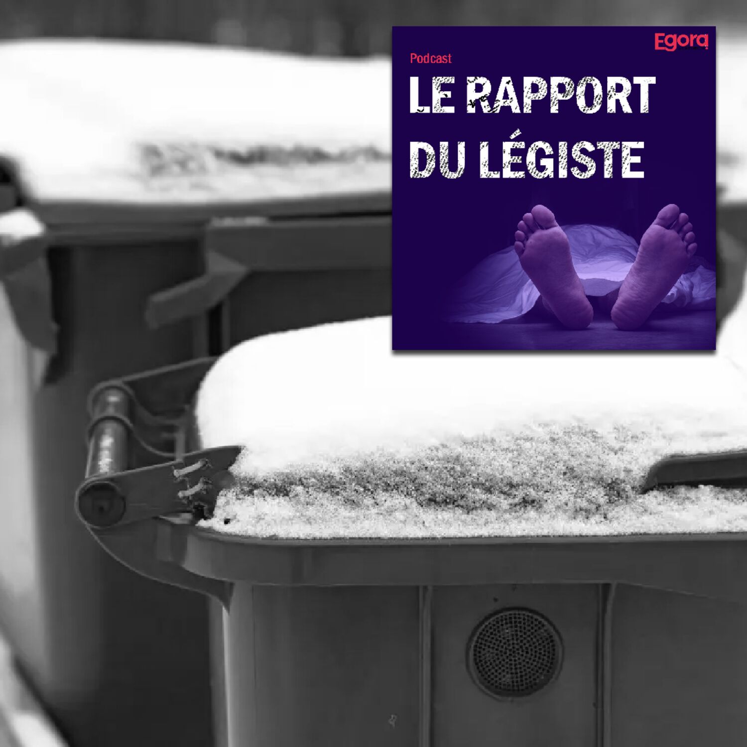 Episode 9 : "Un si beau meurtre", raconté par Philippe Boxho