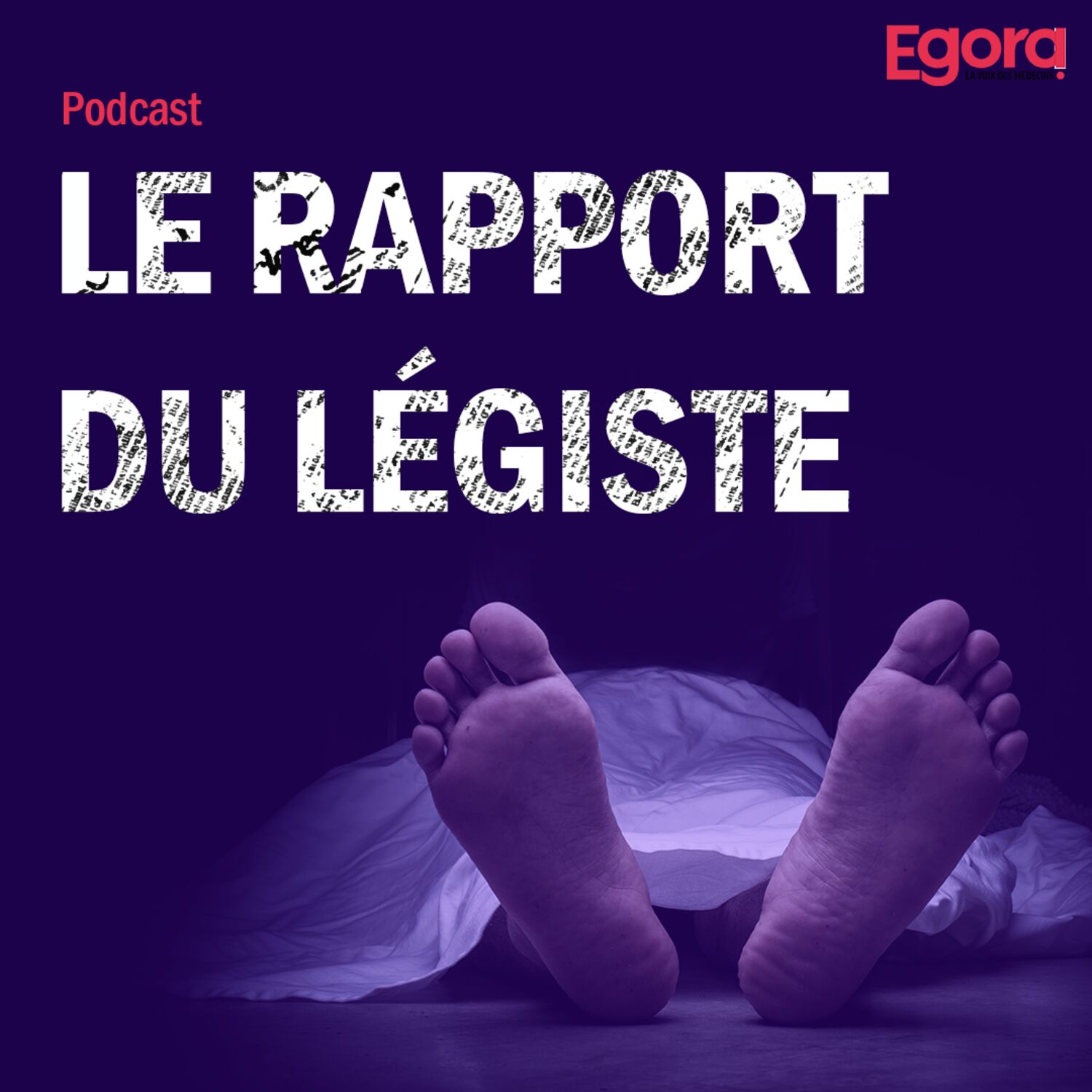 Le rapport du légiste : prologue