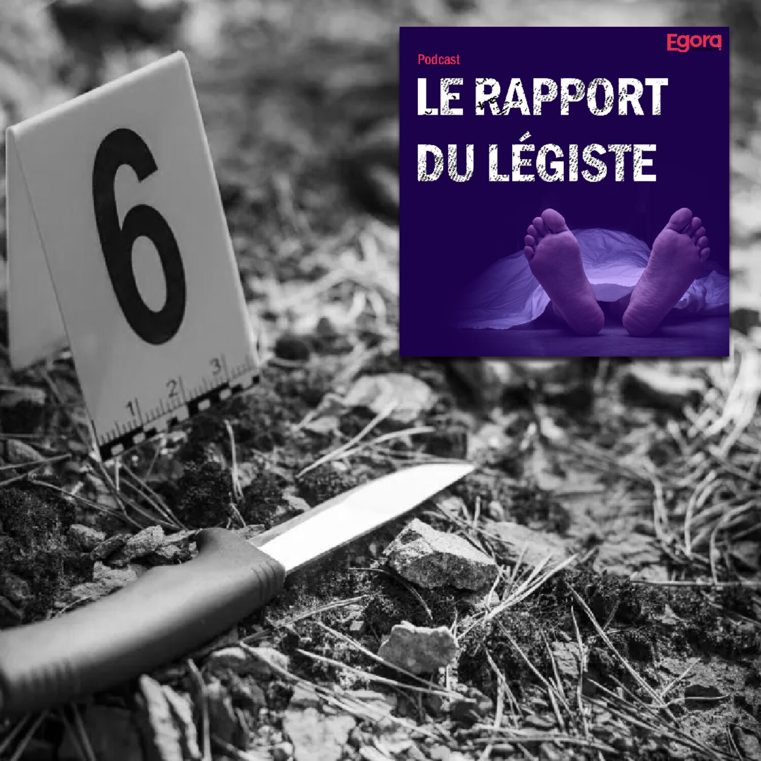 Episode 1 : L'affaire Angélique Dumetz