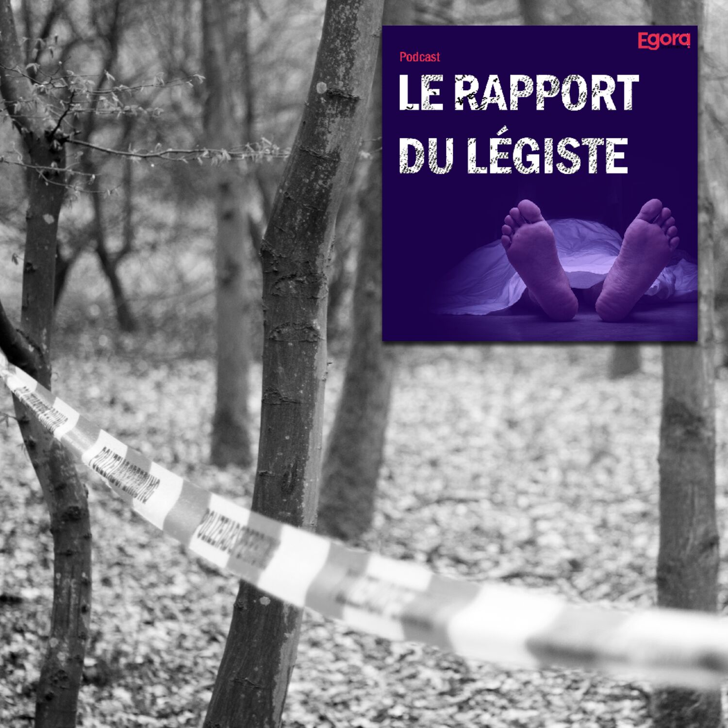 [Rediffusion - 2/2] L'affaire Troadec