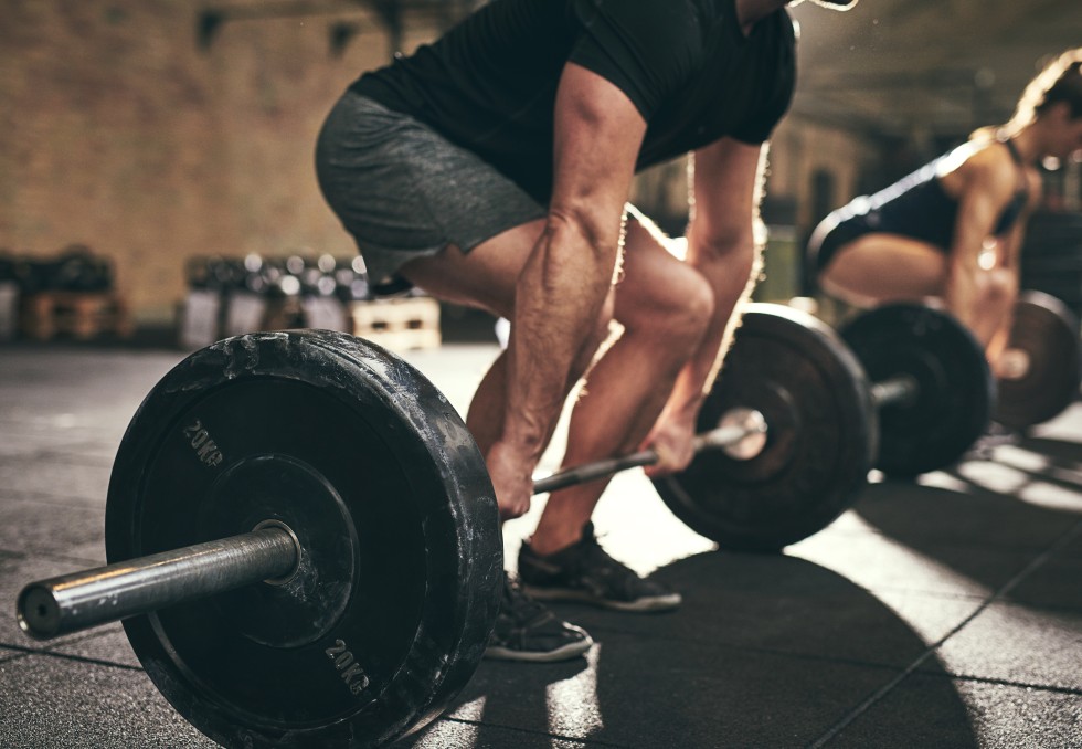 Musculation_Flamingo Images_Adobe Stock