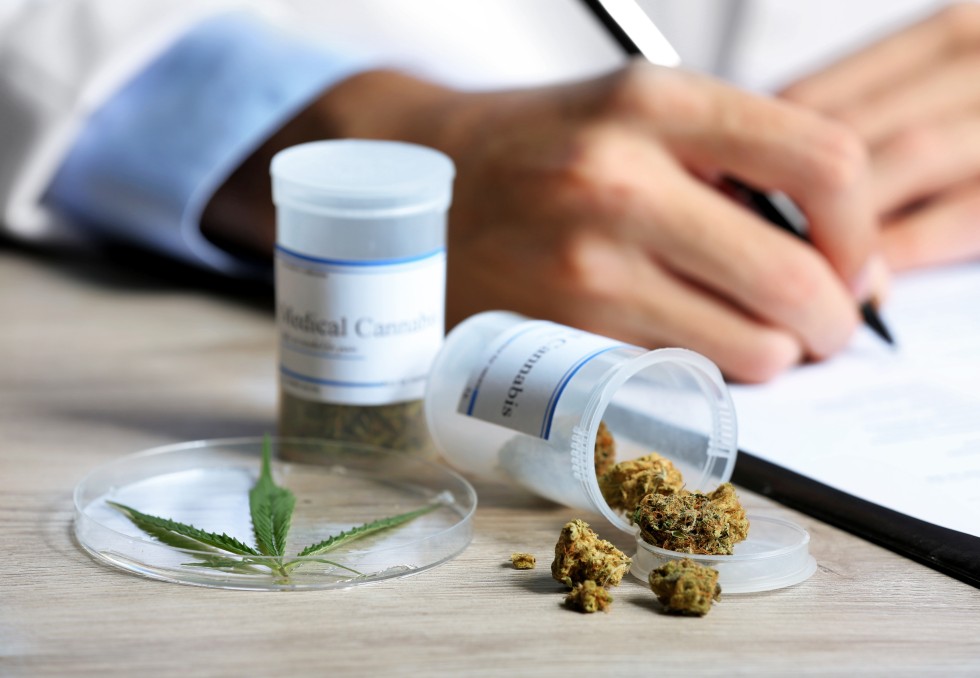 Cannabis_Africa Studio_Adobe Stock
