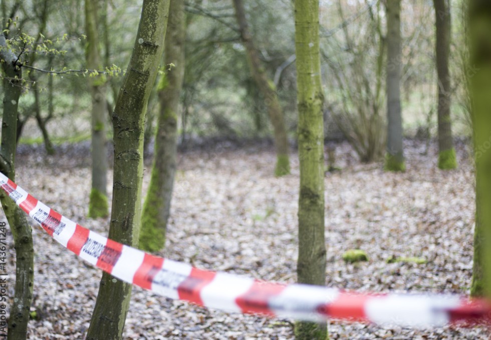 @CrimeScene - stock.adobe.com