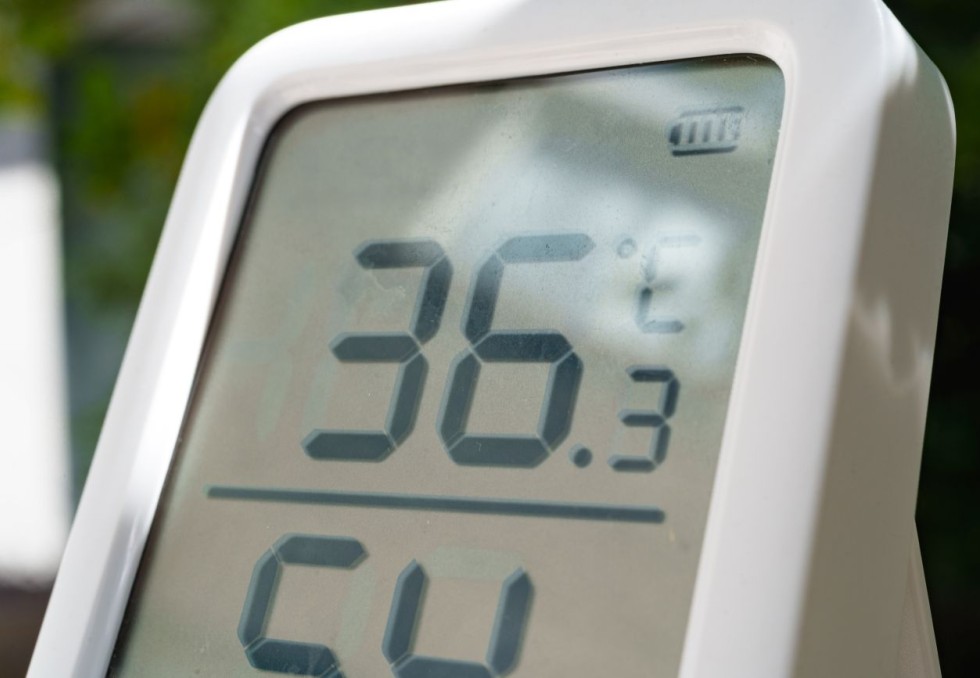 Canicule