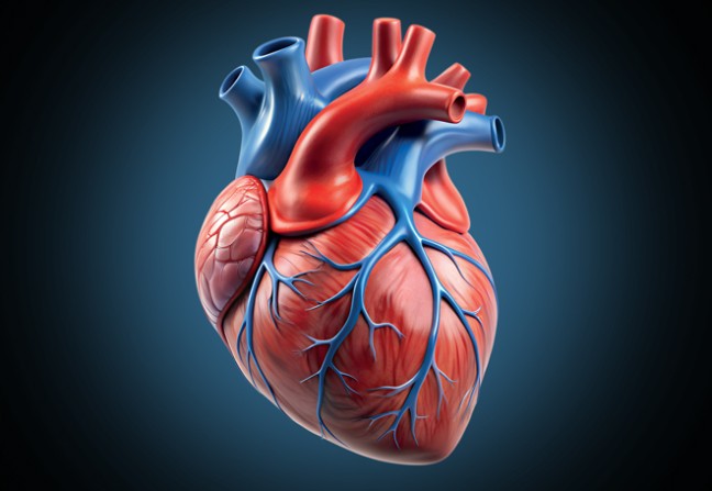 Insuffisance cardiaque : prise en charge diagnostique et thérapeutique