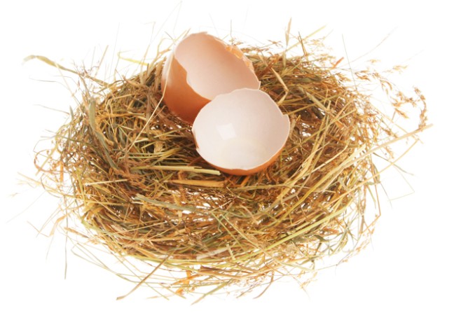 Nid vide - Fausse couche