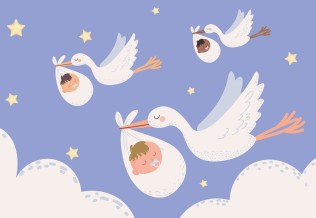 Cigognes portant des bébés