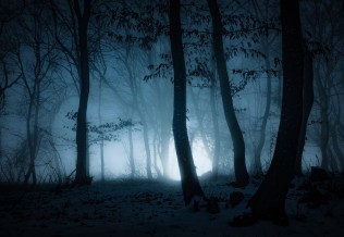 @Melinda Nagy - stock.adobe.com