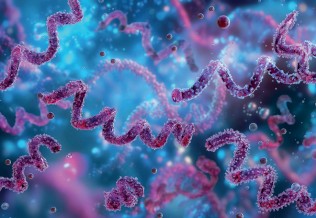 Infections sexuellement transmissibles : en augmentation en France