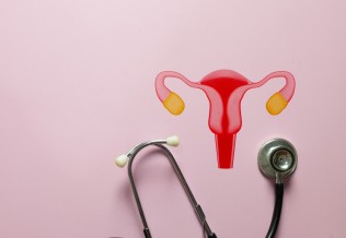 uterus
