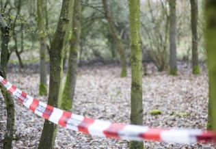 @CrimeScene - stock.adobe.com