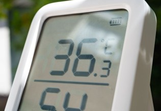 Canicule