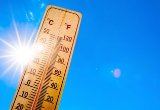 canicule