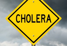 cholera