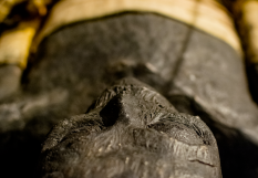 momie louise de quengo