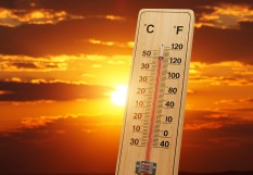 canicule