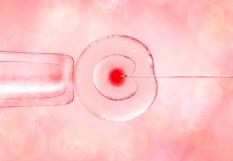 infertilité-ovocyte