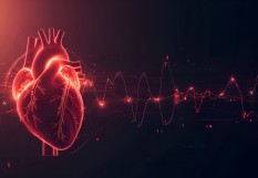 maladie cardiovasculaire