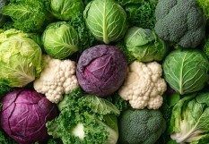 choux