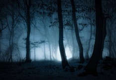 @Melinda Nagy - stock.adobe.com