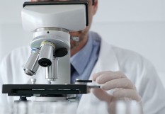 biologiste