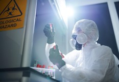 ebola