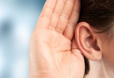 oreille
