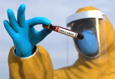 ebola