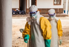 ebola