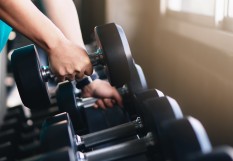 musculation