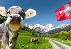 suisse