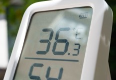 Canicule