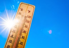canicule