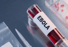 Ebola