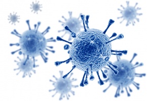 Un cas confirmé d’infection respiratoire par le nouveau coronavirus a été signalé en Thaïlande, a rapporté l’Organisation mondiale de la santé (OMS) l 13 janvier.